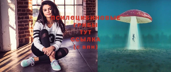 дурь Кулебаки