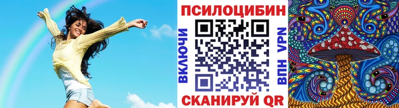 Псилоцибиновые грибы Cubensis  Порхов 